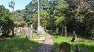 Find Samantha - North west corner of Gore Hill Cemetery